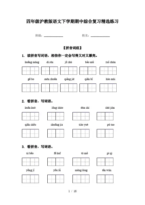四年级沪教版语文下学期期中综合复习精选练习