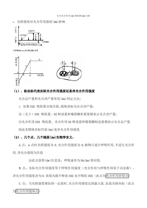 有关光合作用的曲线图的分析