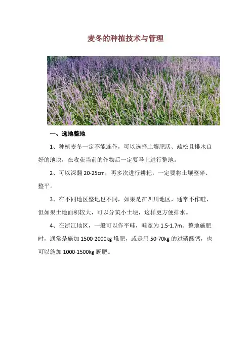 麦冬的种植技术与管理