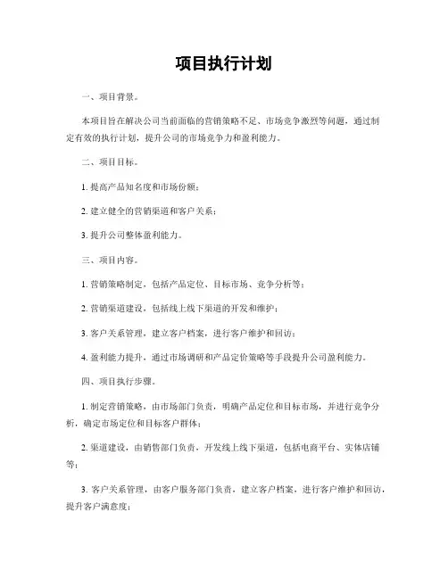 项目执行计划