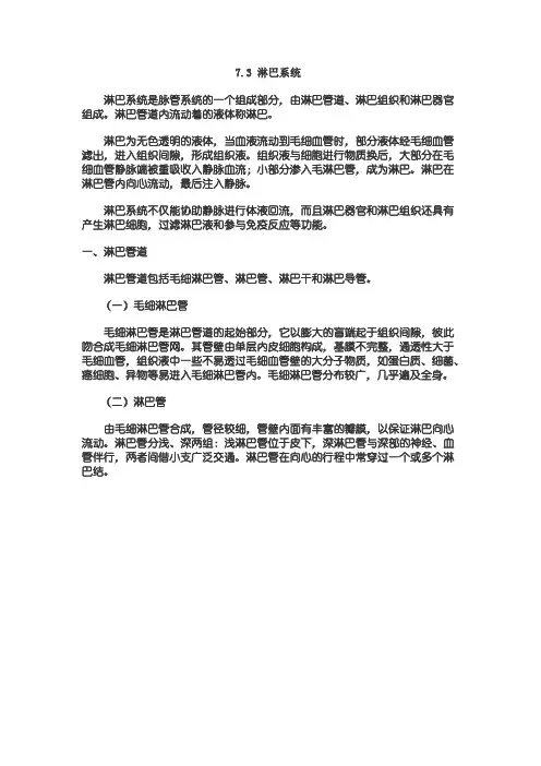 医学笔记人体解剖之淋巴系统