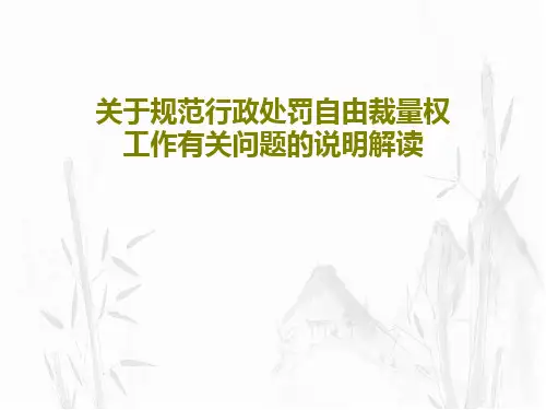 关于规范行政处罚自由裁量权工作有关问题的说明解读30页PPT