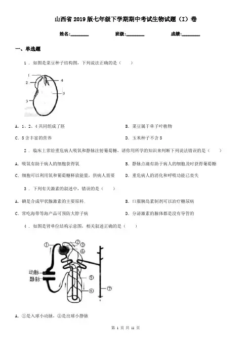 山西省2019版七年级下学期期中考试生物试题(I)卷