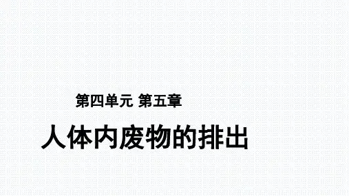 人教版七年级下册生物第五章 《人体内废物的排出》课件(共27张PPT)