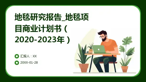 地毯研究报告_地毯项目商业计划书(2020-2023年)