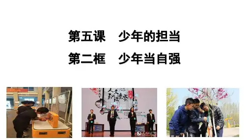 最新人教部编版九年级下册道德与法治《少年当自强》精品课件ppt
