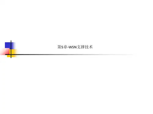 第5章-WSN支撑技术