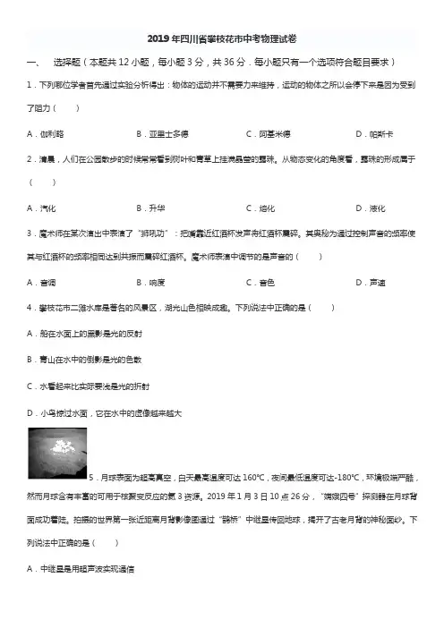 2019年四川省攀枝花市中考物理试题(word,含答案)
