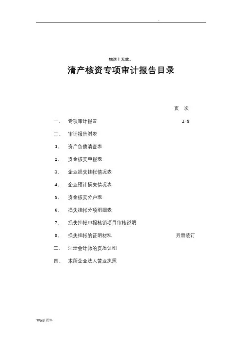清产核资专项审计报告