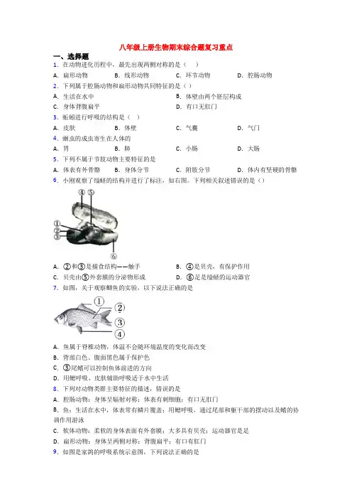 八年级上册生物期末综合题复习重点