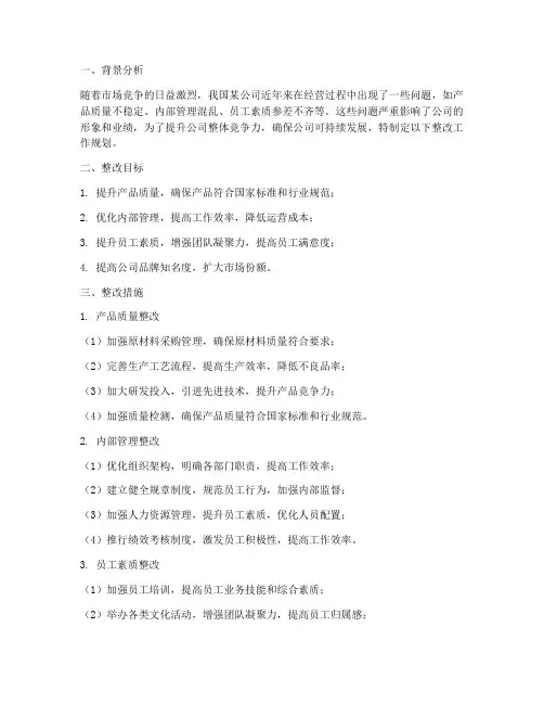 公司整改工作规划