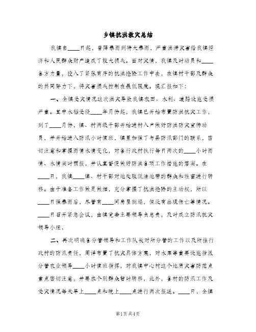 乡镇抗洪救灾总结（2篇）