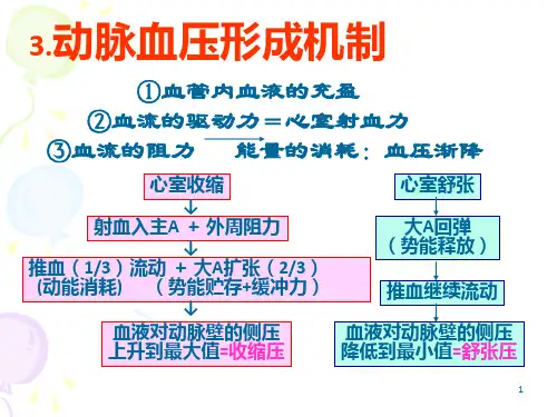 动脉血压形成机制PPT课件