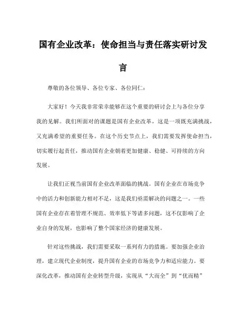 国有企业改革：使命担当与责任落实研讨发言