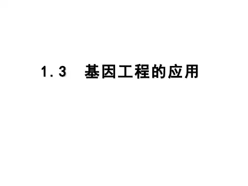 基因工程的应用