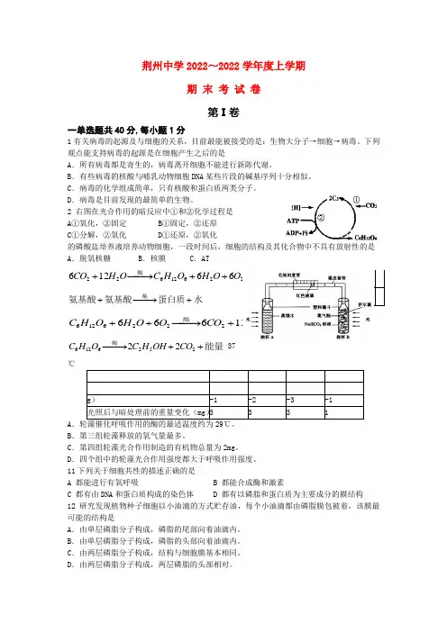 湖北省荆州中学10-11学年高一生物上学期末试卷