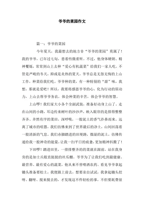 爷爷的菜园作文
