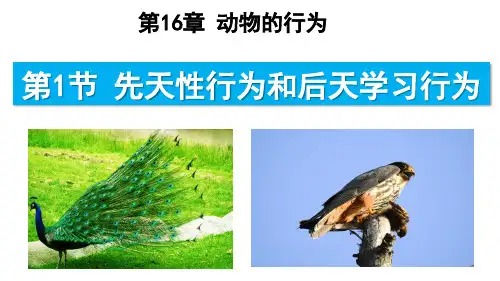 生物八年级上册16 .1先天性行为和后天学习行为