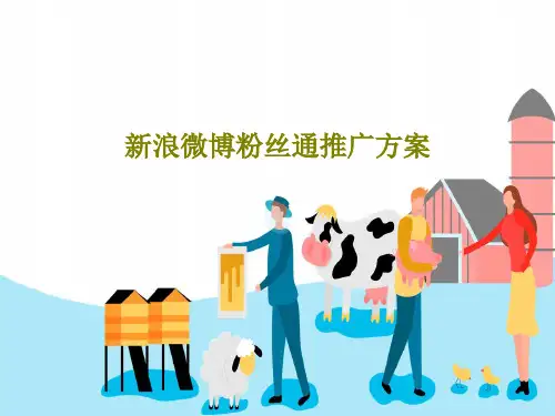新浪微博粉丝通推广方案共31页文档