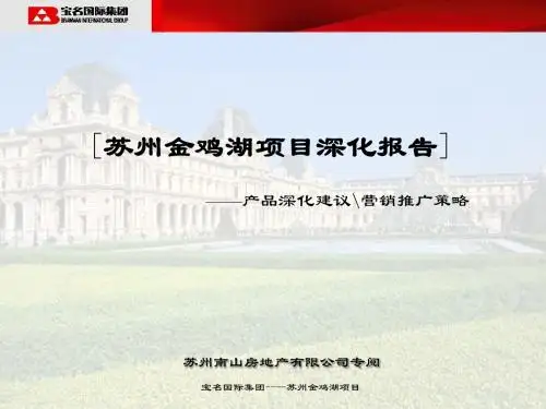 苏州金鸡湖项目产品深化建议及营销推广报告42页-1.7M