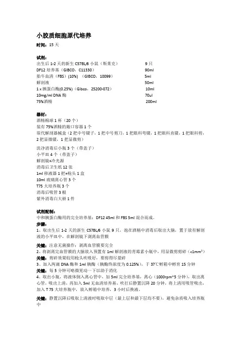 小胶质细胞原代培养