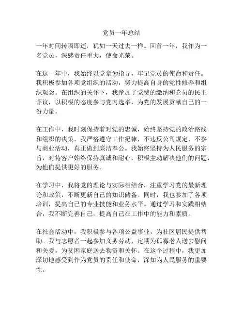 党员一年总结