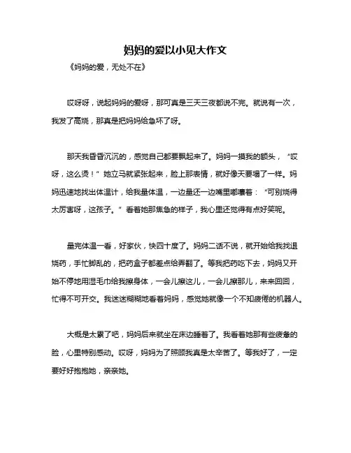 妈妈的爱以小见大作文