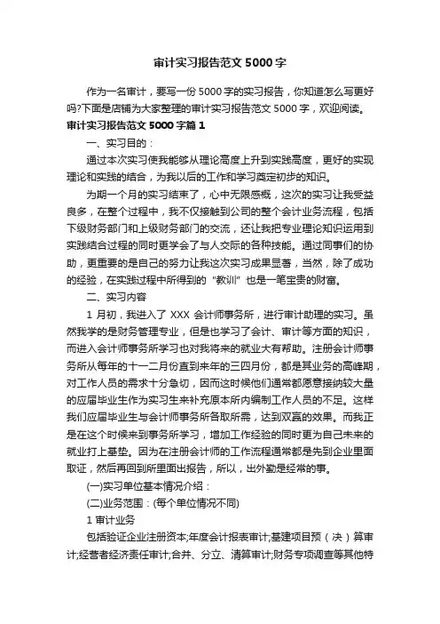 审计实习报告范文5000字
