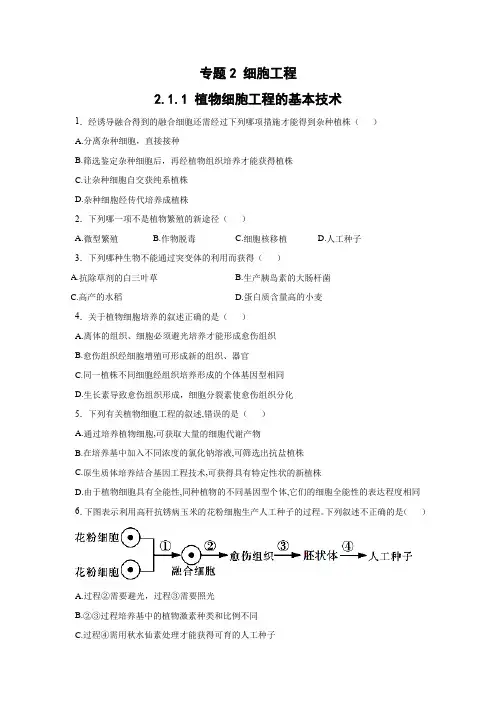 课时作业6：2.1.1 植物细胞工程的基本技术