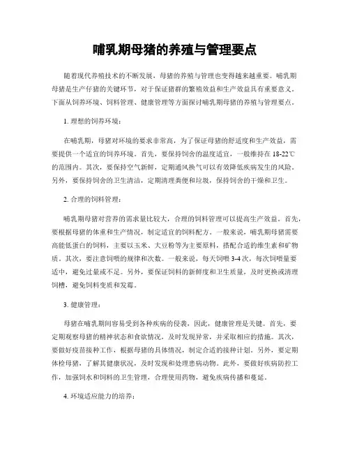 哺乳期母猪的养殖与管理要点