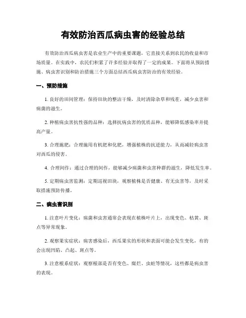 有效防治西瓜病虫害的经验总结