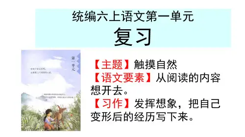 语文六年级上册第一单元复习课件(共34张PPT)