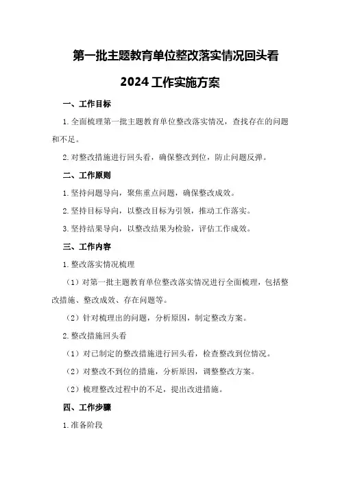 第一批主题教育单位整改落实情况回头看2024工作实施方案