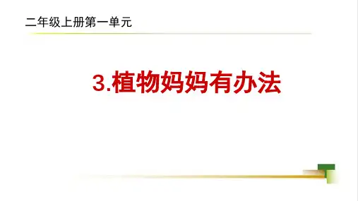 3  植物妈妈有办法 课件(共15张PPT).ppt