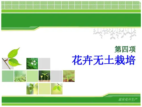 无土栽培讲解