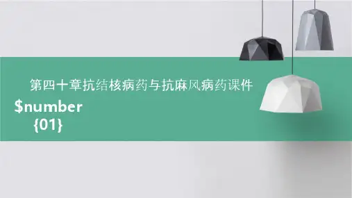 第四十章抗结核病药与抗麻风病药课件