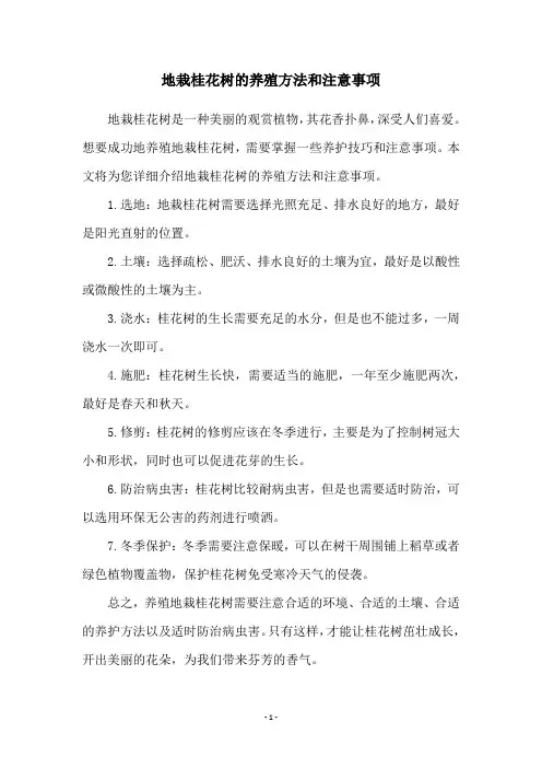 地栽桂花树的养殖方法和注意事项