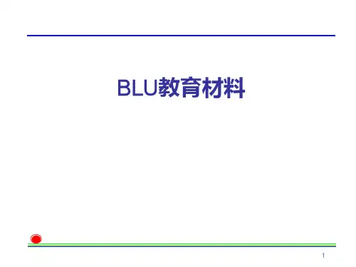 BLU 讲义(中文)——开发部提供