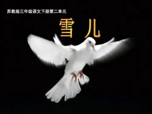 《雪儿》第一课时课件