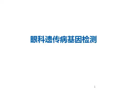 眼科遗传病基因检测简介