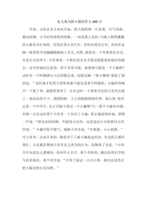 见义勇为抓小偷的作文600字