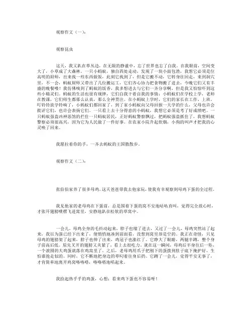 观察作文12篇