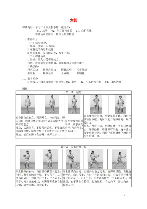 江苏省南通市唐闸中学九年级体育《太极(第3课时)》教案