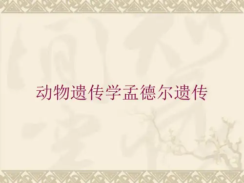动物遗传学孟德尔遗传培训课件