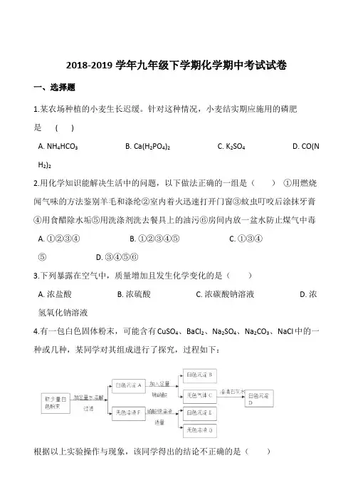 四川省2018-2019学年九年级下学期化学期中考试试卷(解析版)