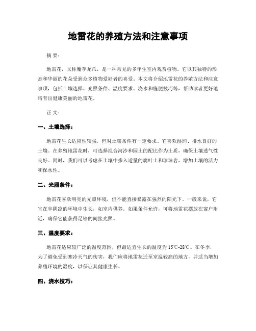 地雷花的养殖方法和注意事项