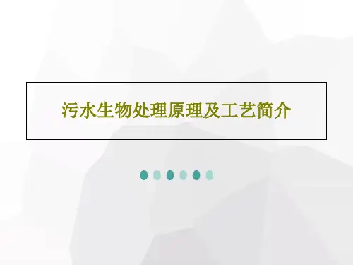 污水生物处理原理及工艺简介50页PPT