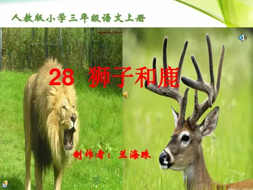 三年级上册28《狮子和鹿》.PPT课件