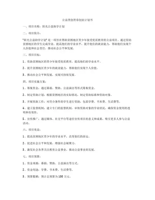 公益类创青春创业计划书