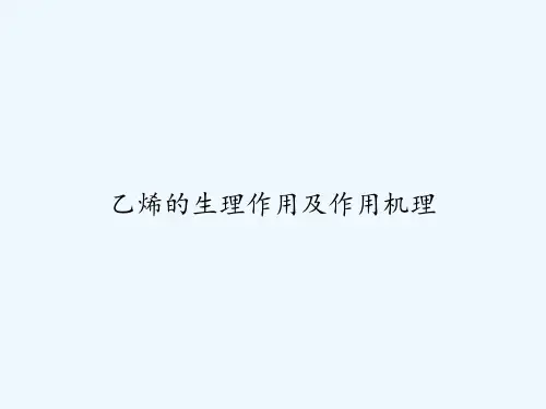 乙烯的生理作用及作用机理 PPT